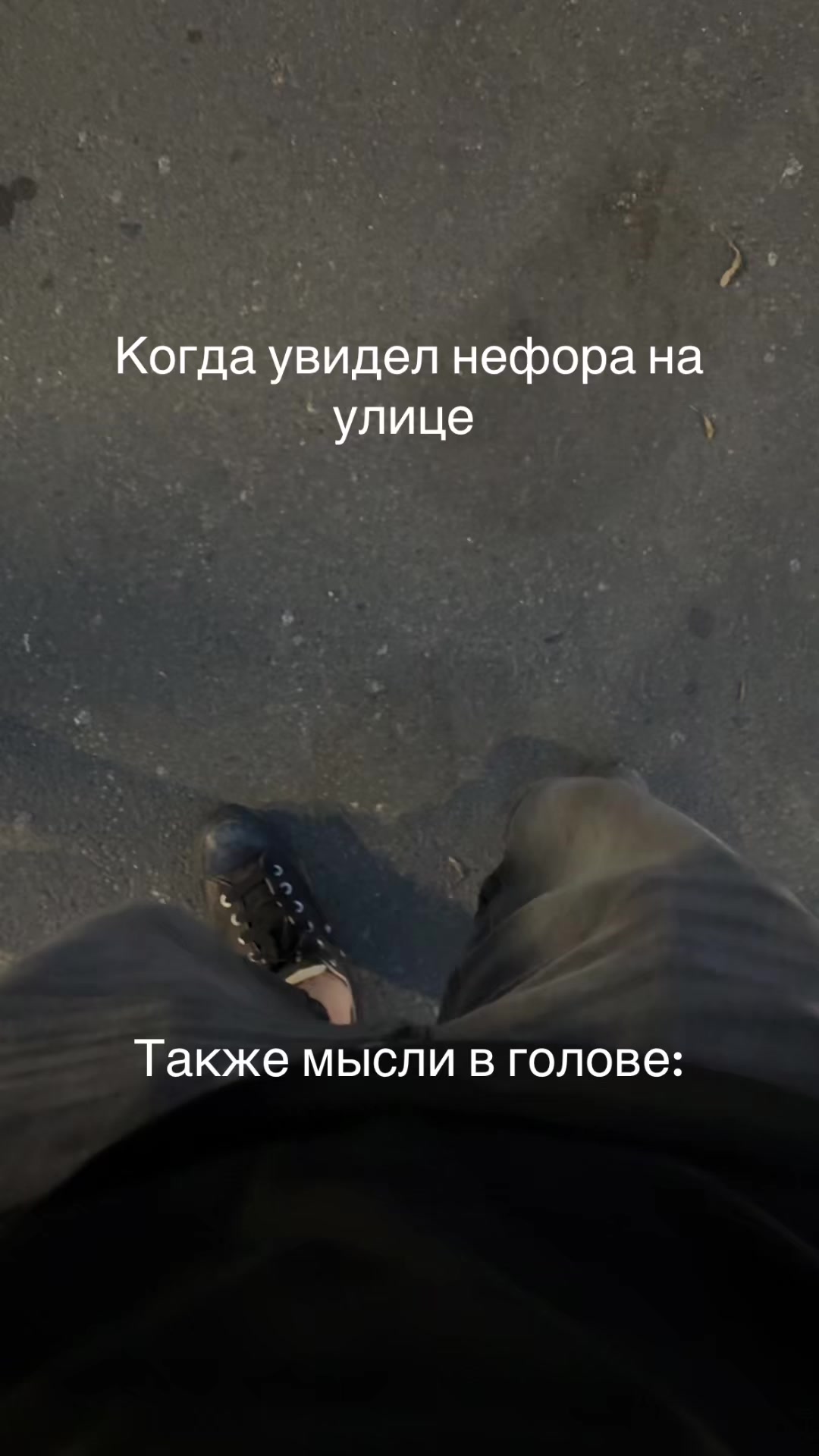 @арахнофоб2009