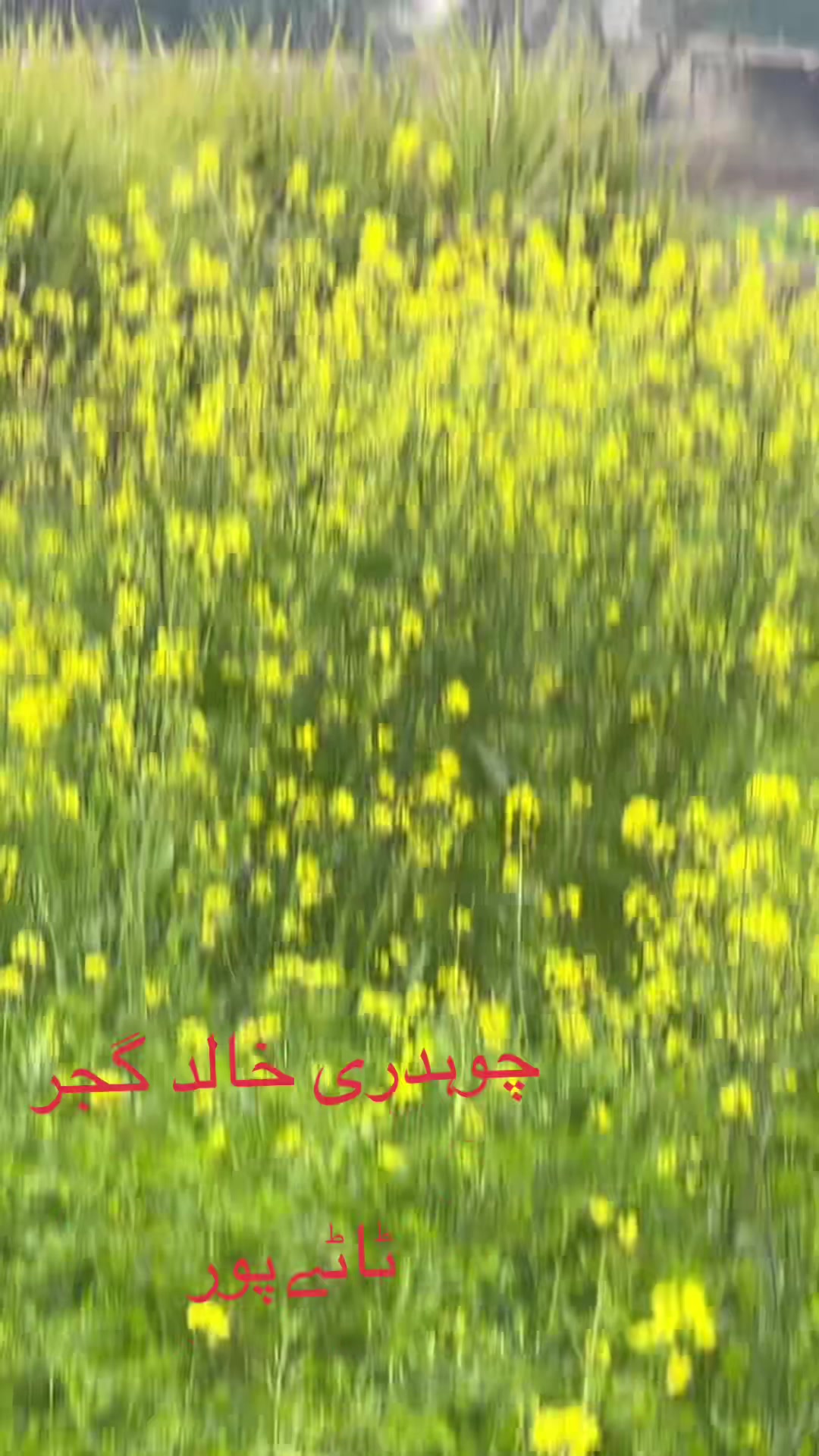 @چوھدری خالدگجر