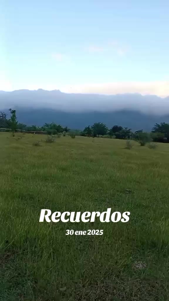 @ponce