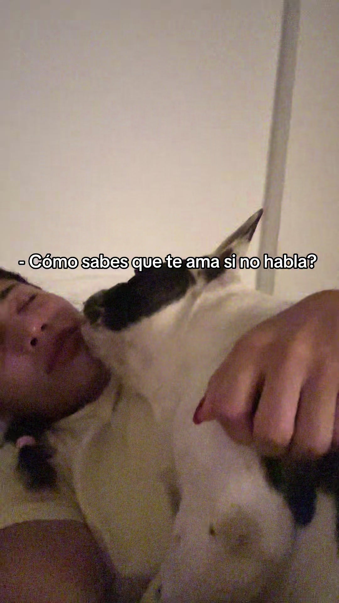 @Maria Fer
