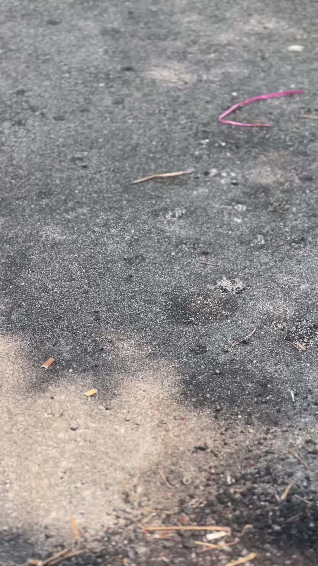 @TENSS🐿️