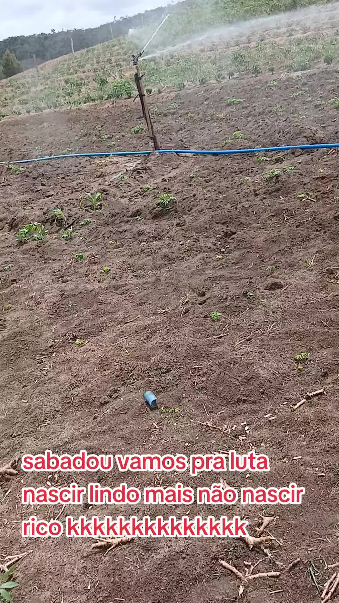 @ELIZEU  Batista