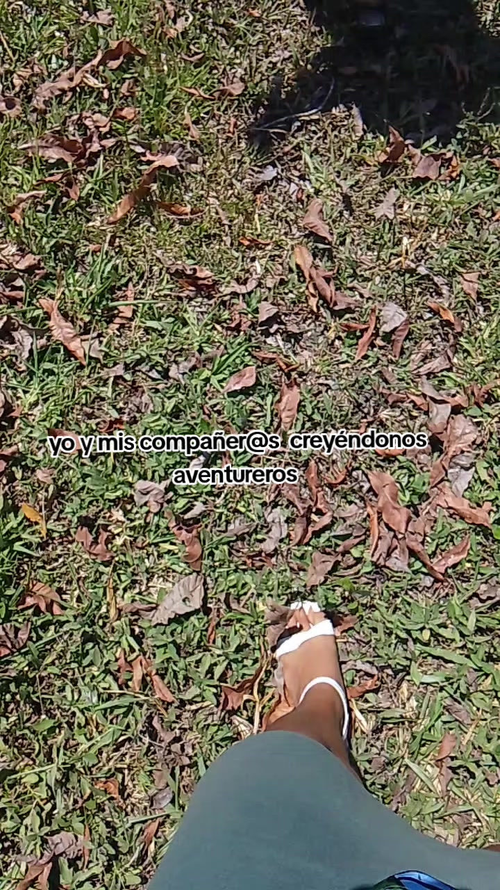 @🖤🌻