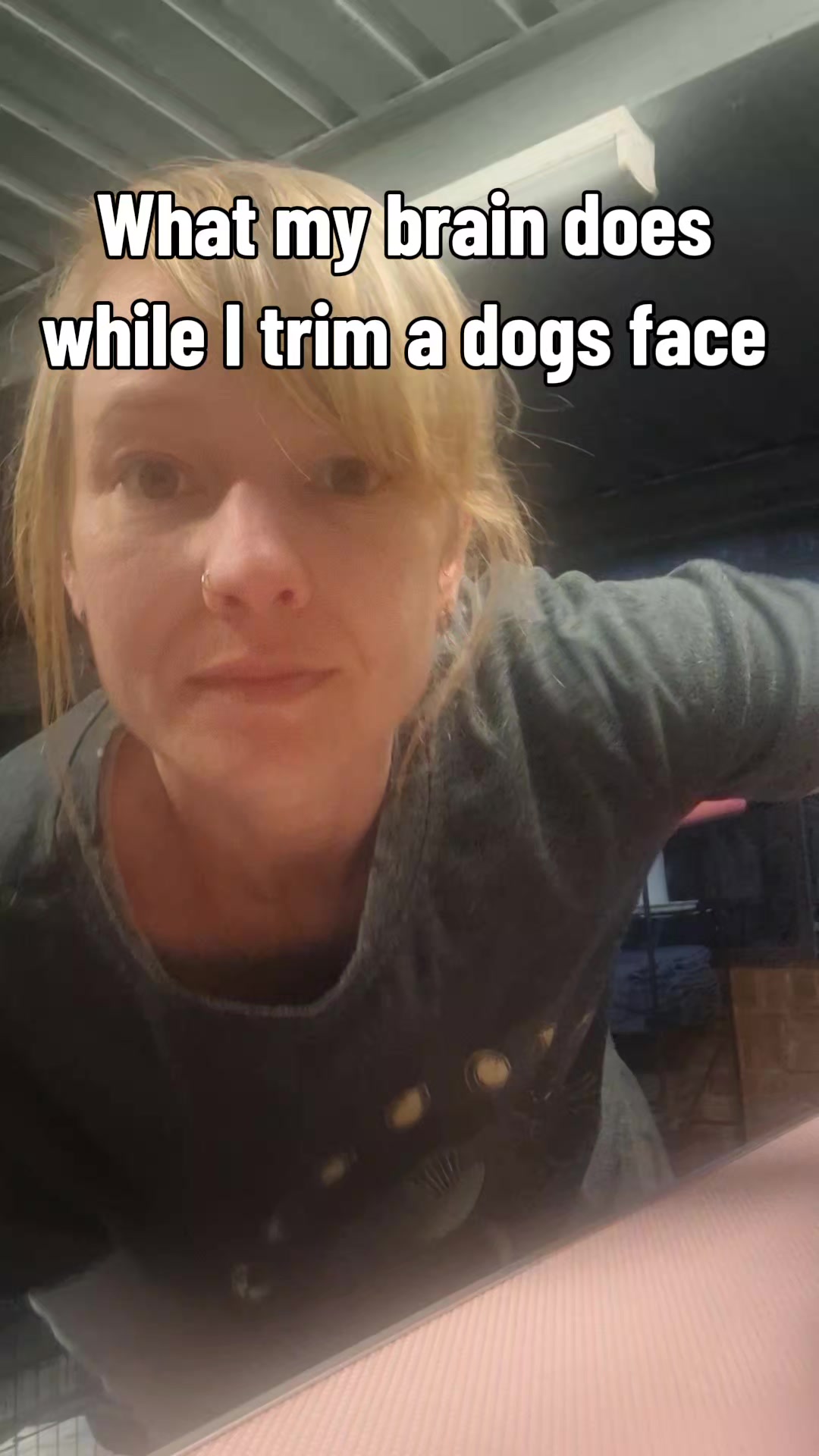 @dogs_and_stuff_8