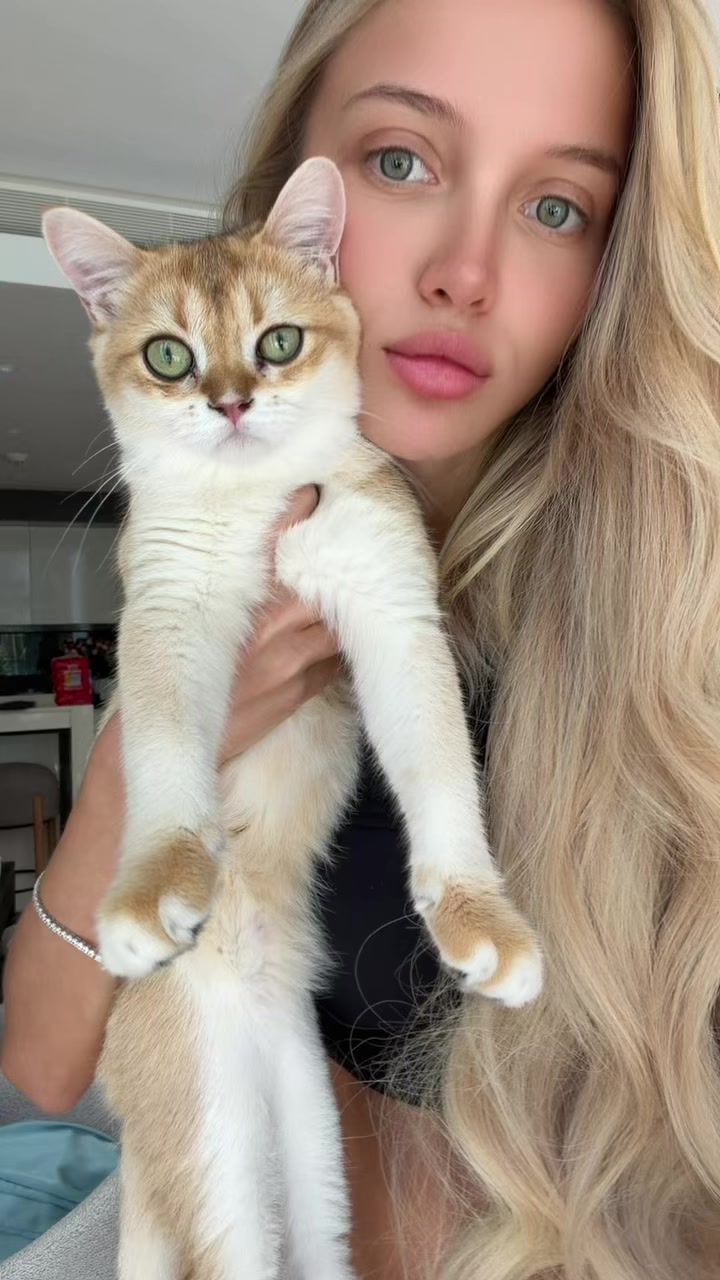 @genlistef