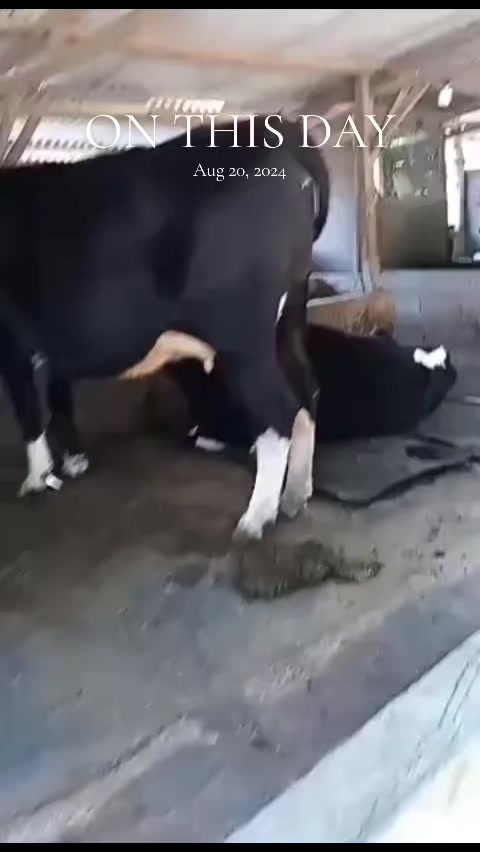 @LUCKY