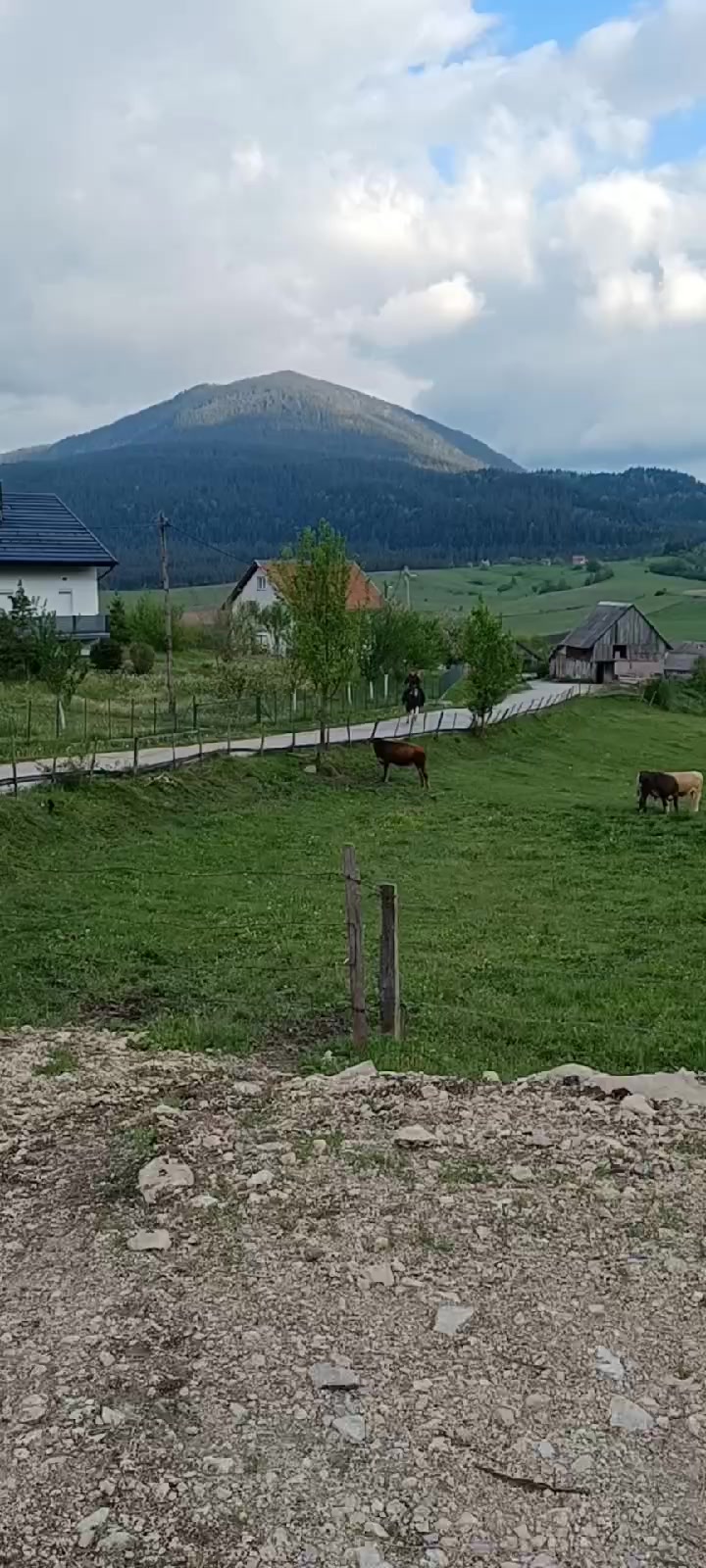 @Salko-Sokaća