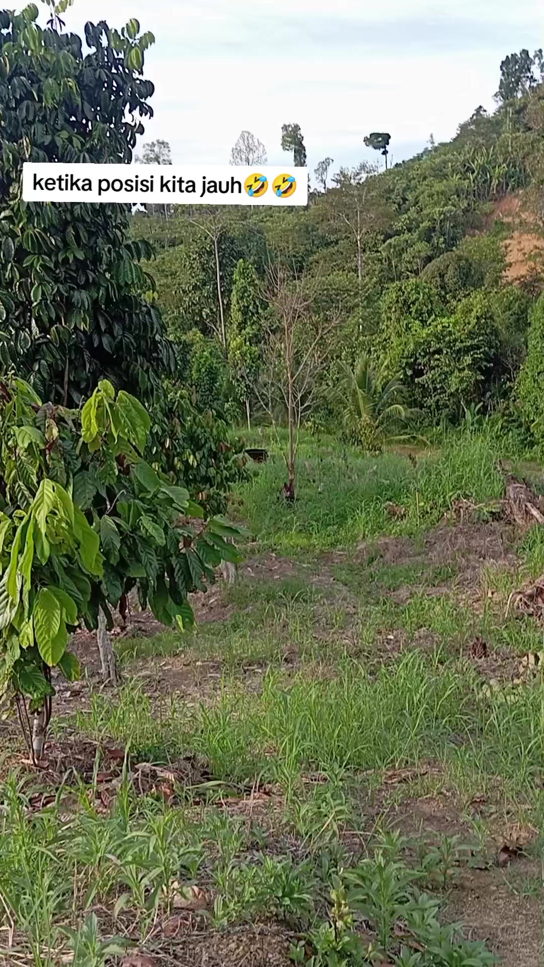 @king srindit👑🦜