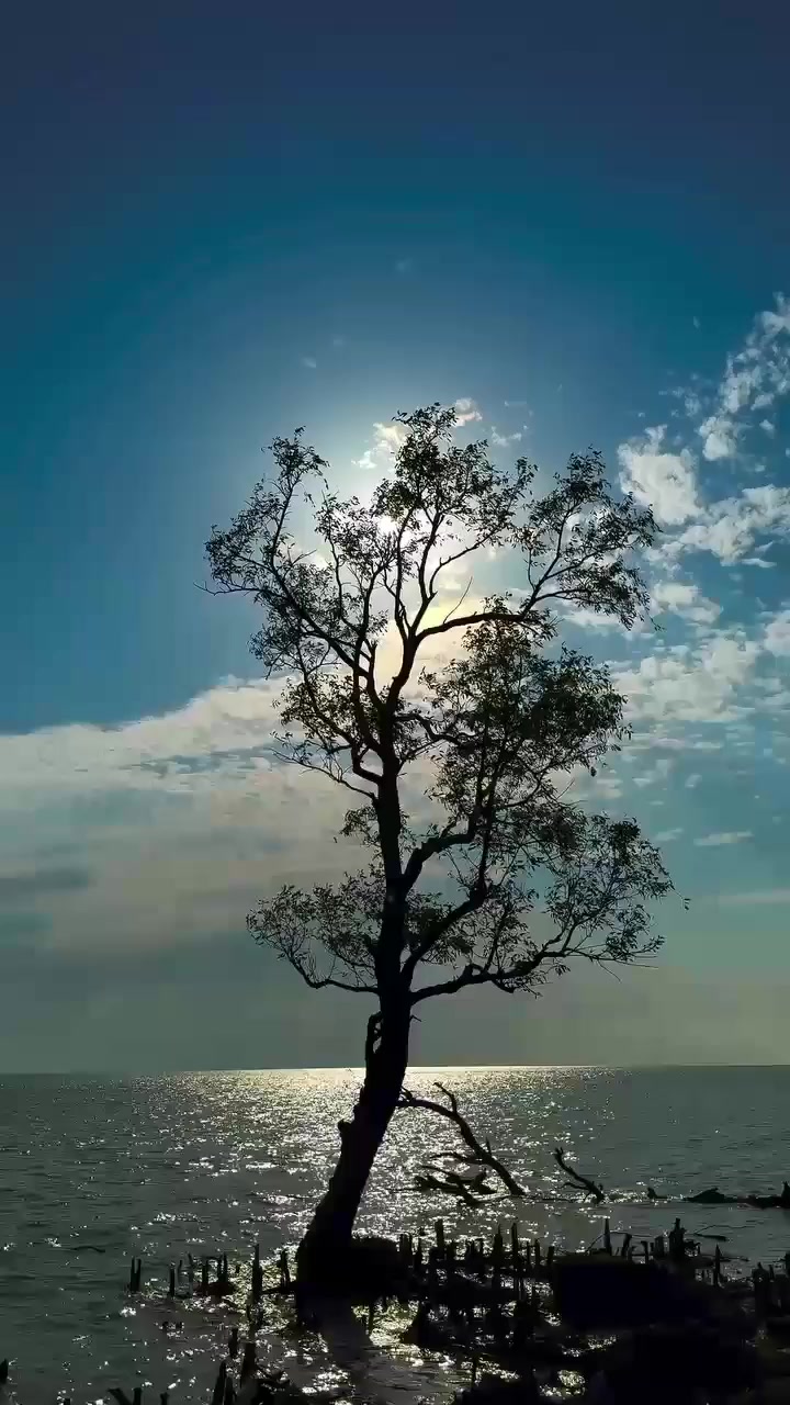 @đ§âī¸ FaRiađ§âī¸