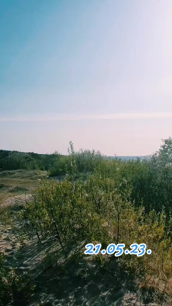 @ТILZIT 88-90