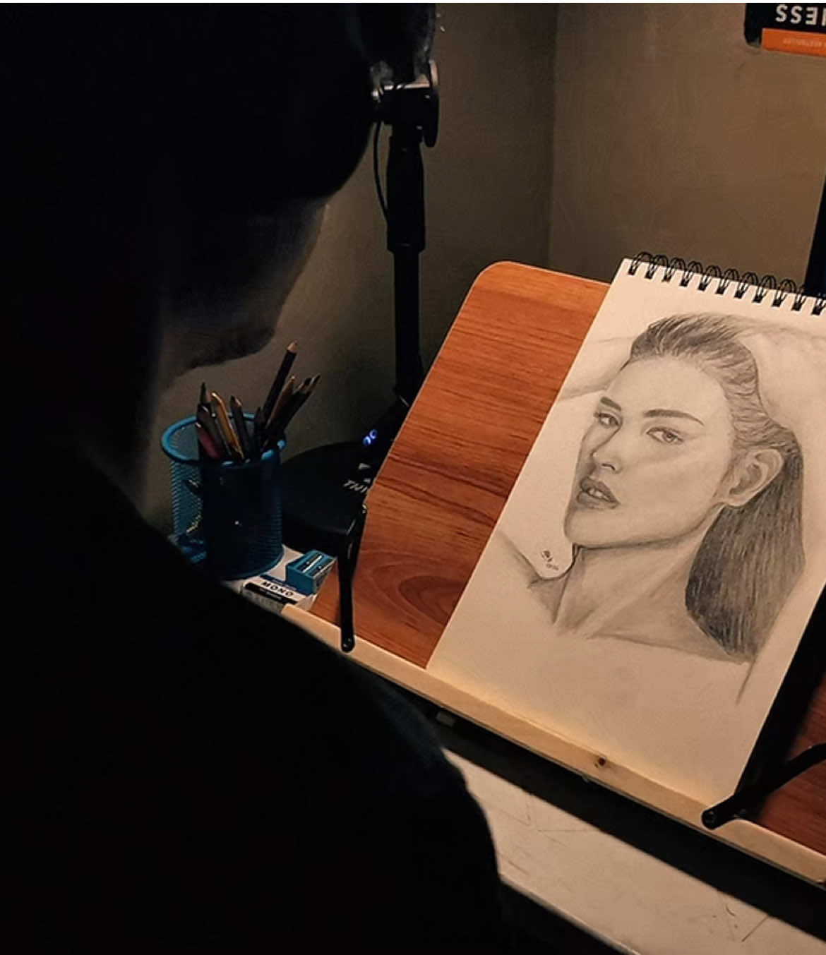 @portraithue