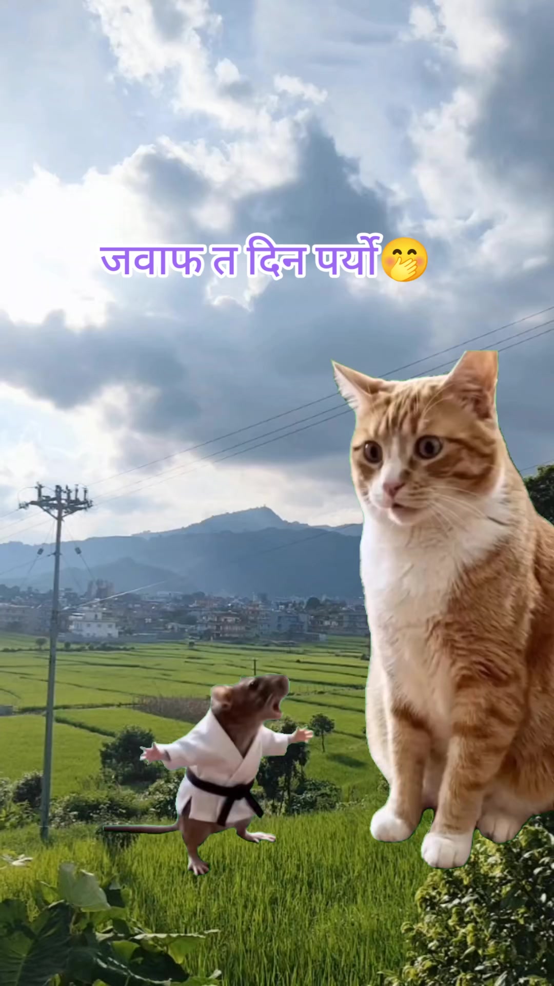@Sumi Basnet