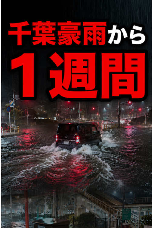 @春活channel