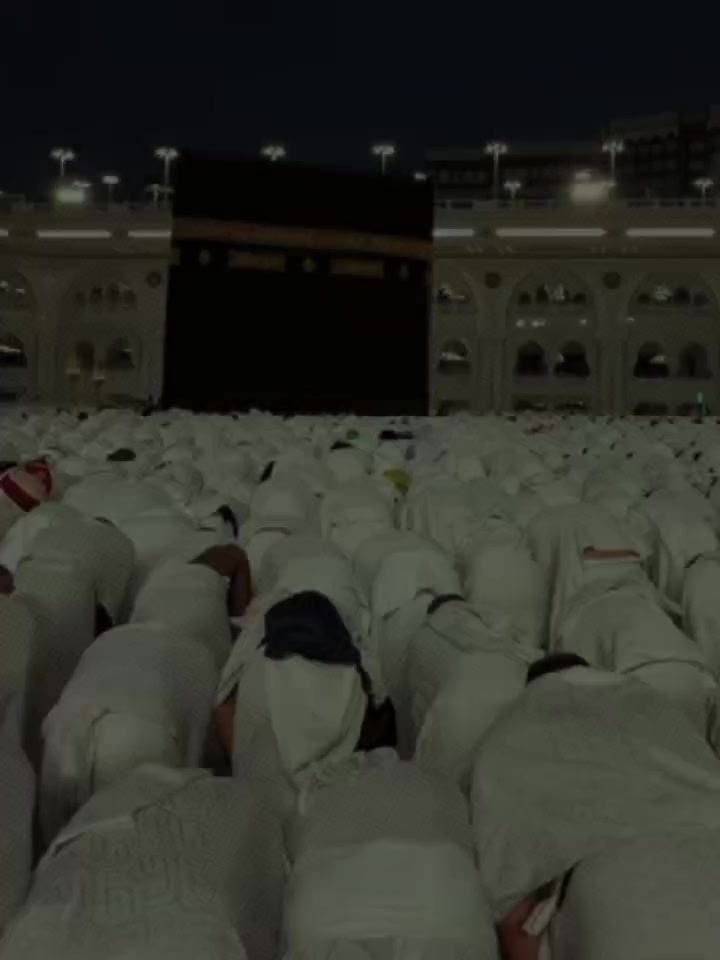 @♥️🕊️
