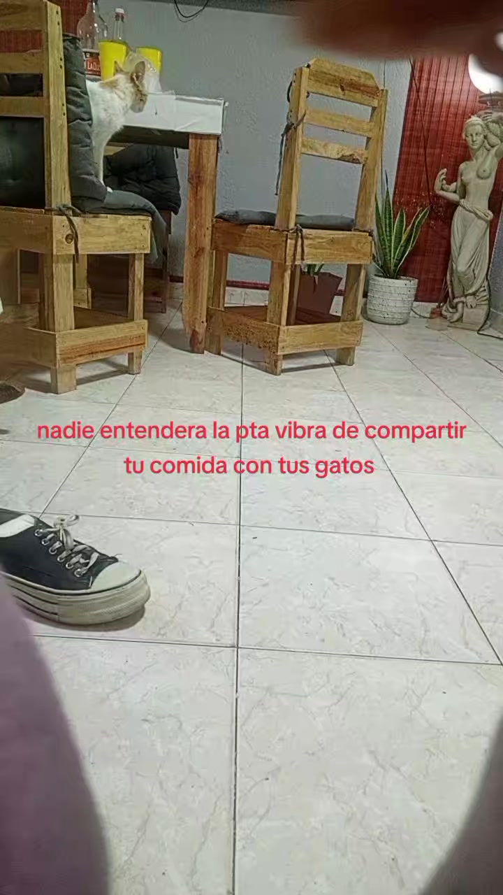 @✨⭐★S-T-A-R★⭐✨