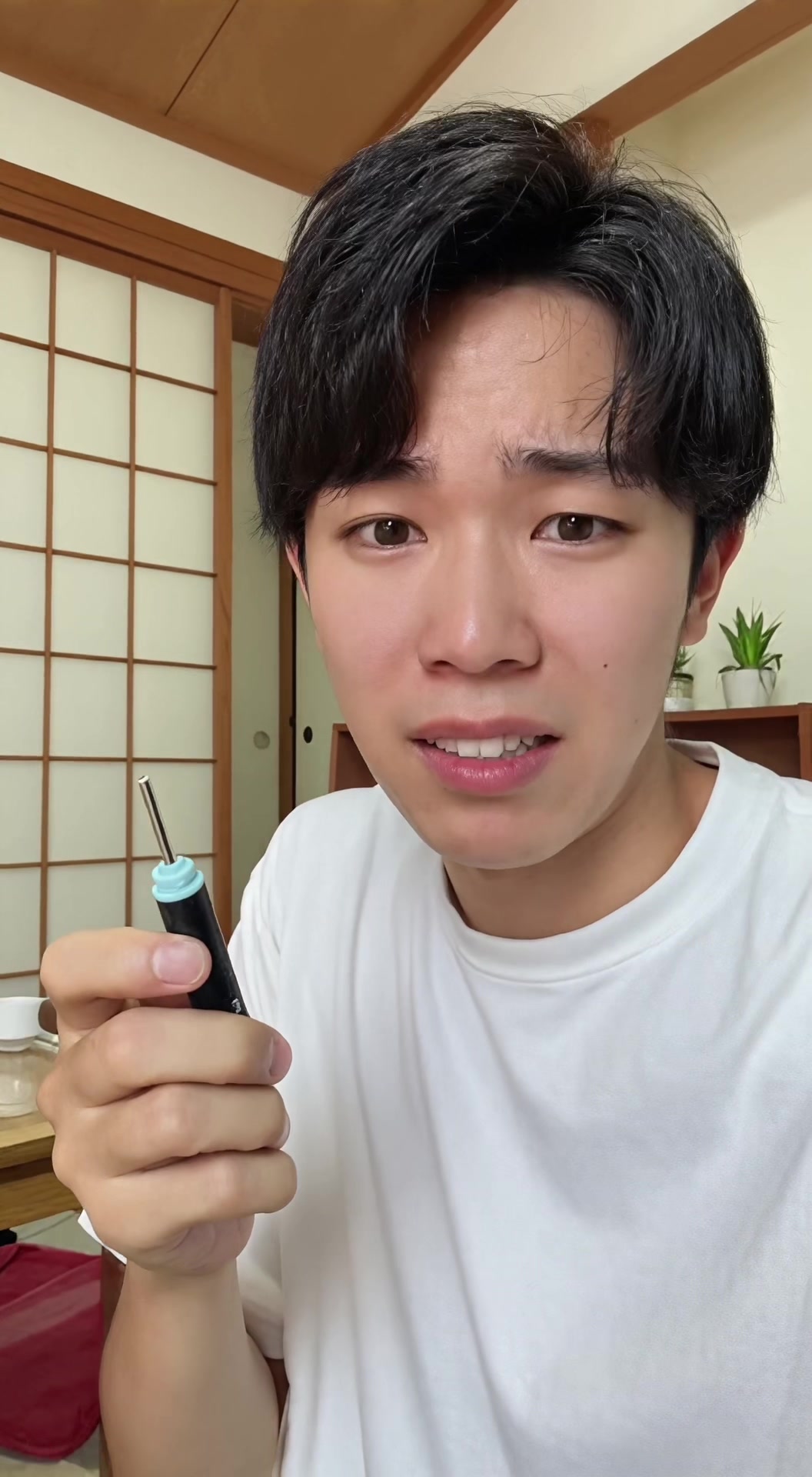 @MIMIVISION_JP