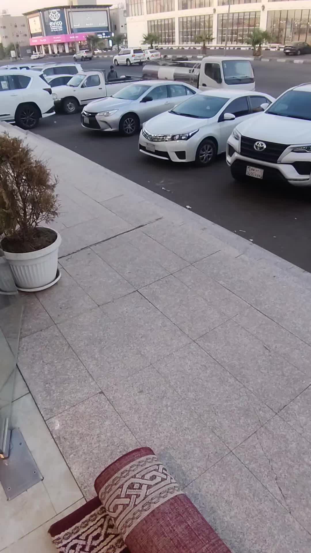 @الفخامـة للسجـاد 🌸"