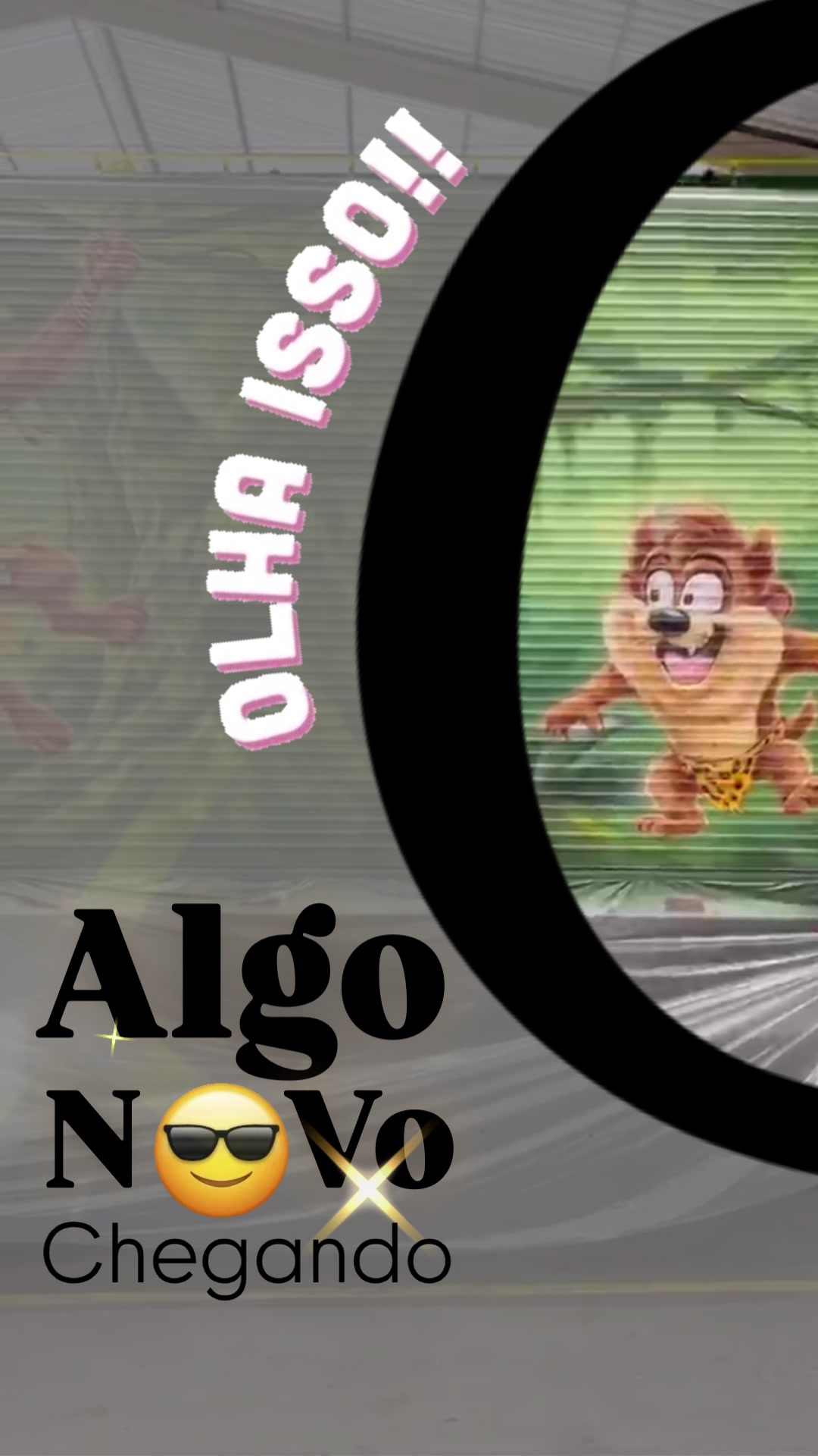@Taz Cordeiro