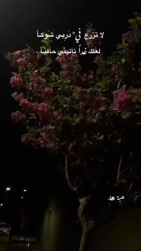 @هبِهۃِةَ🦢.