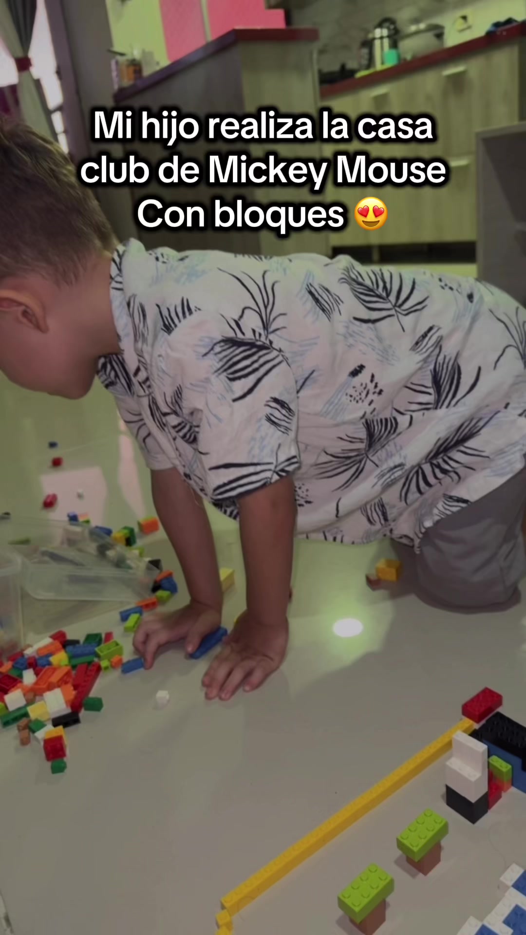 @Lu Rend&oacute;n