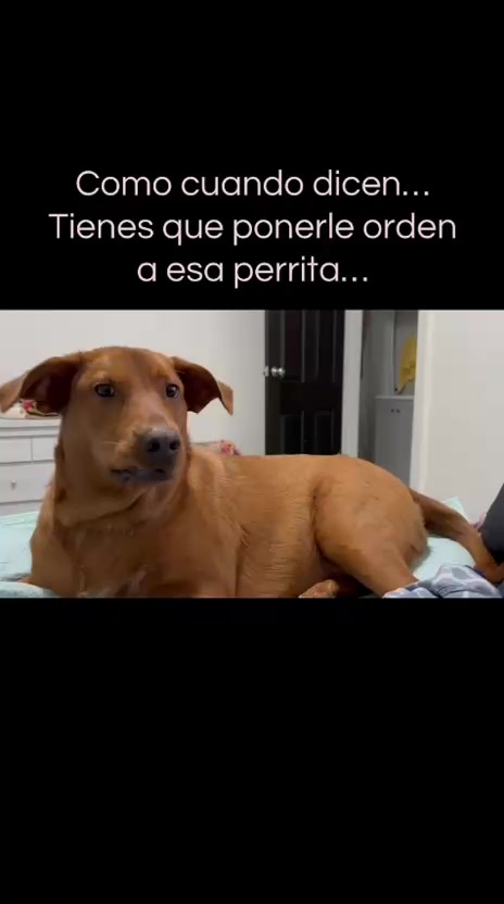 @Kiki