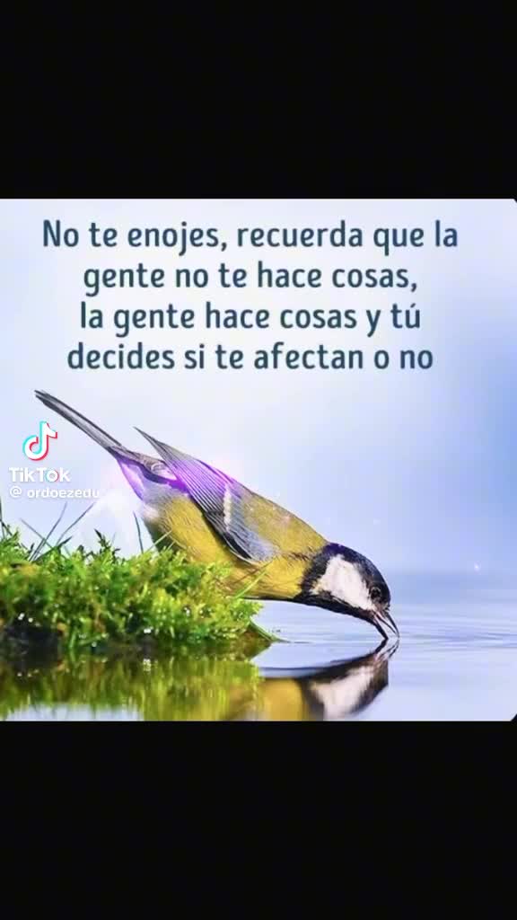 @rosaelviraferrerc