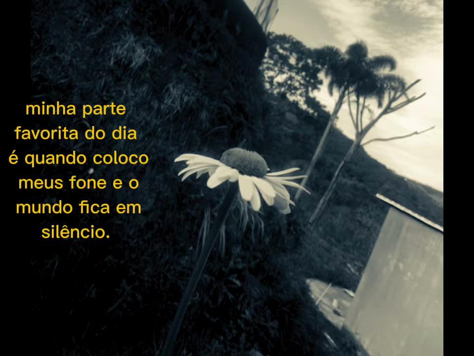 @tete🦋