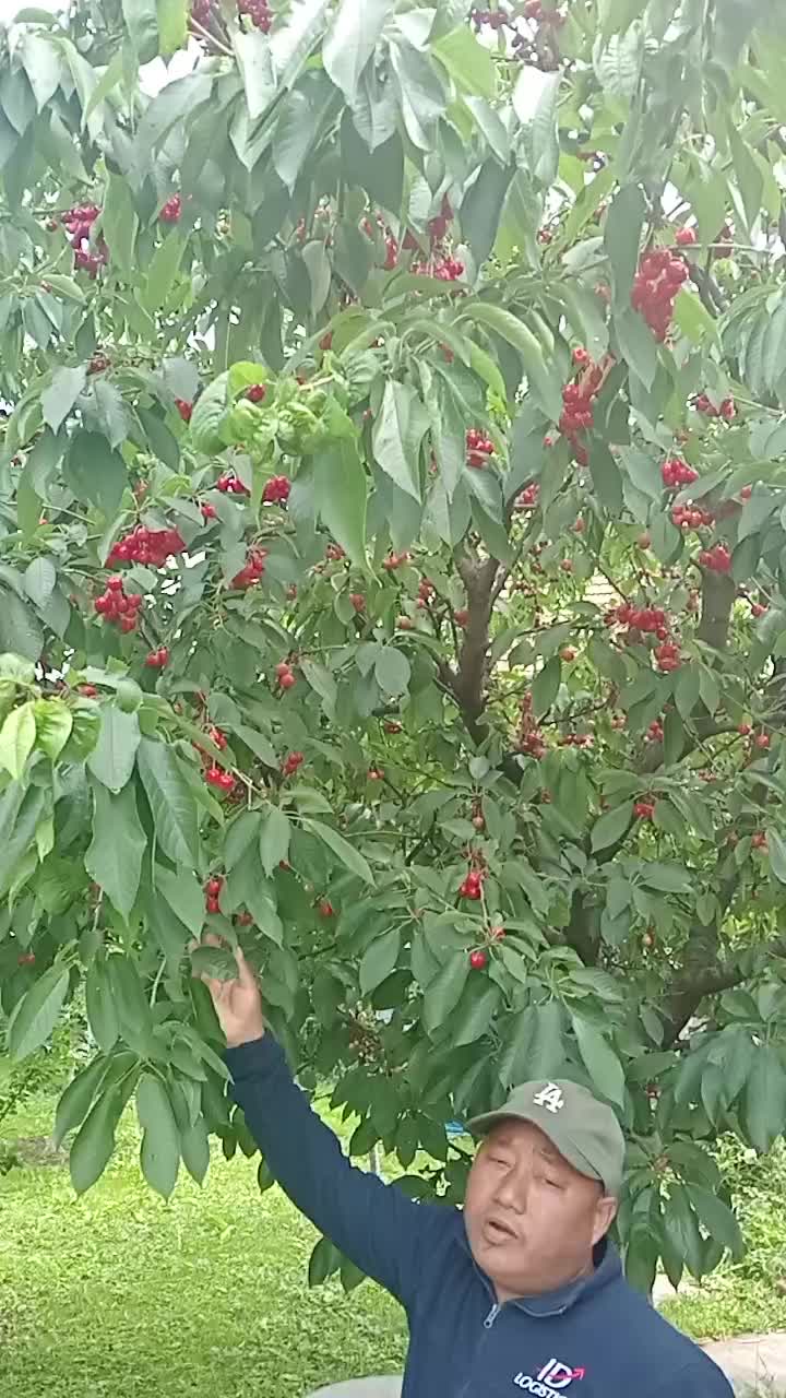 @Mohan123