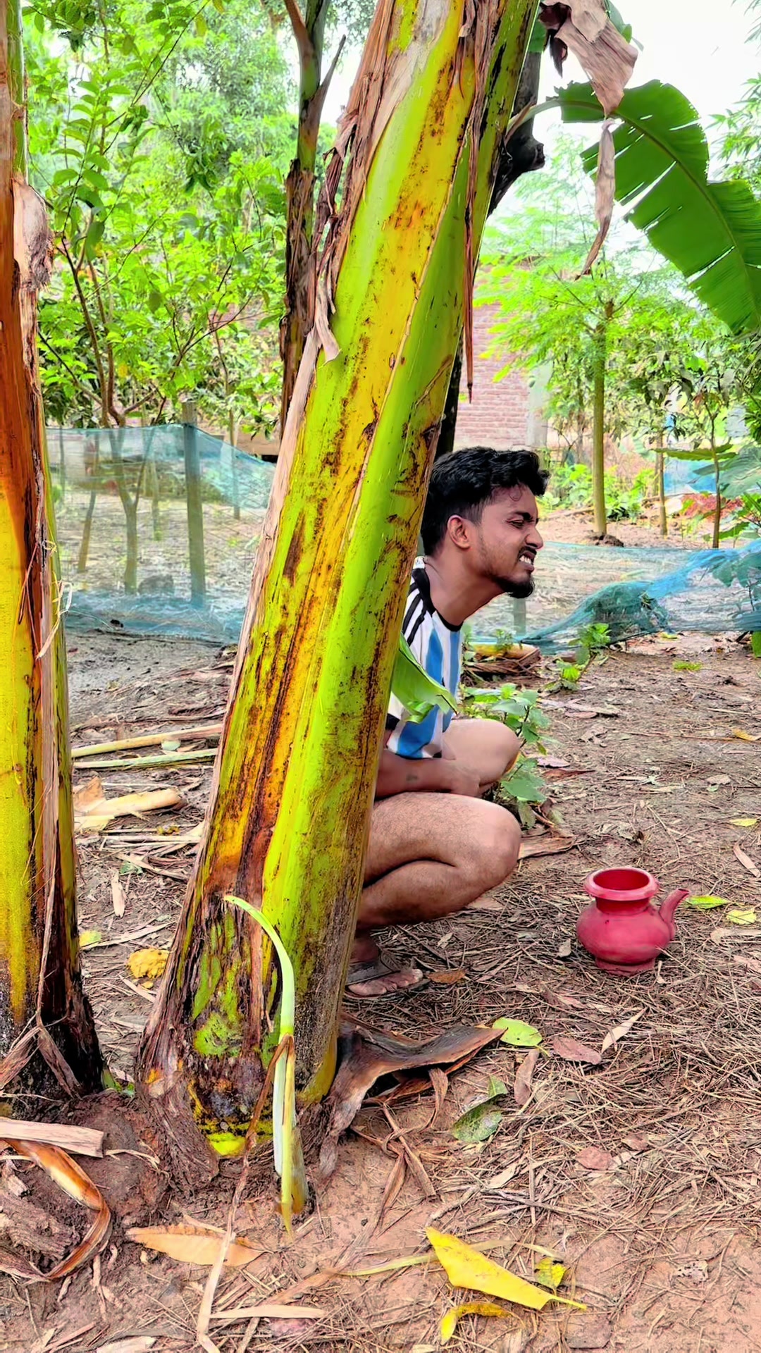 @Md Mehedi Hasan