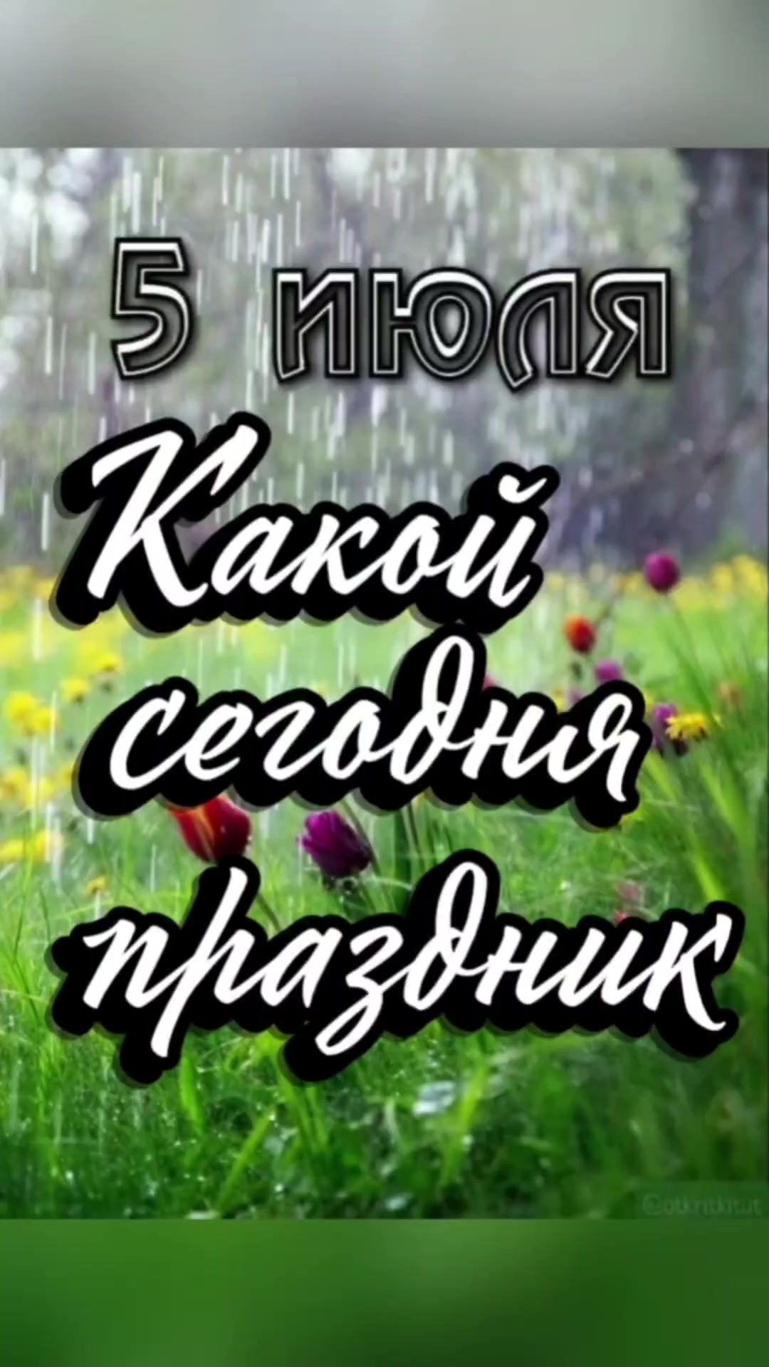 @✨Сибирский мужик ✨