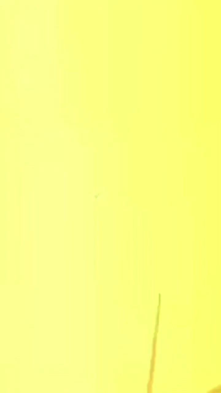 @아즈하르 𓆩♡𓆪