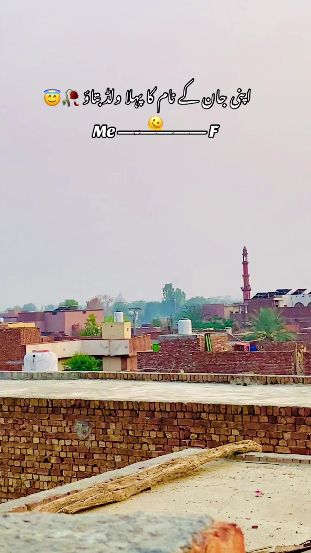 @🥀🌾 پنجابی کلچر 🥀🌾