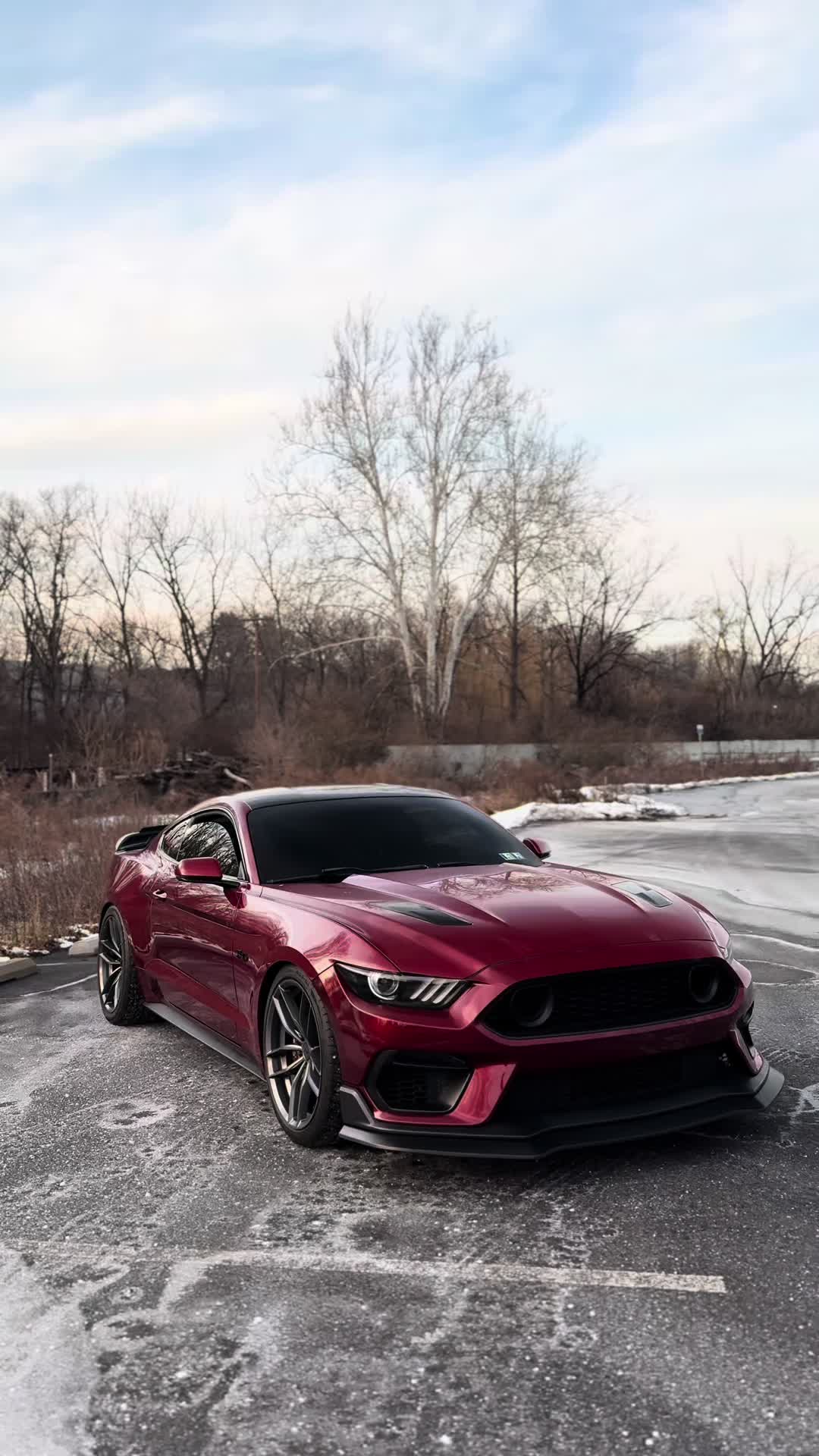 @mo5.oh