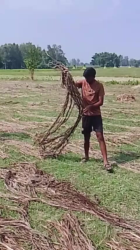 @kushwaha jii🤞