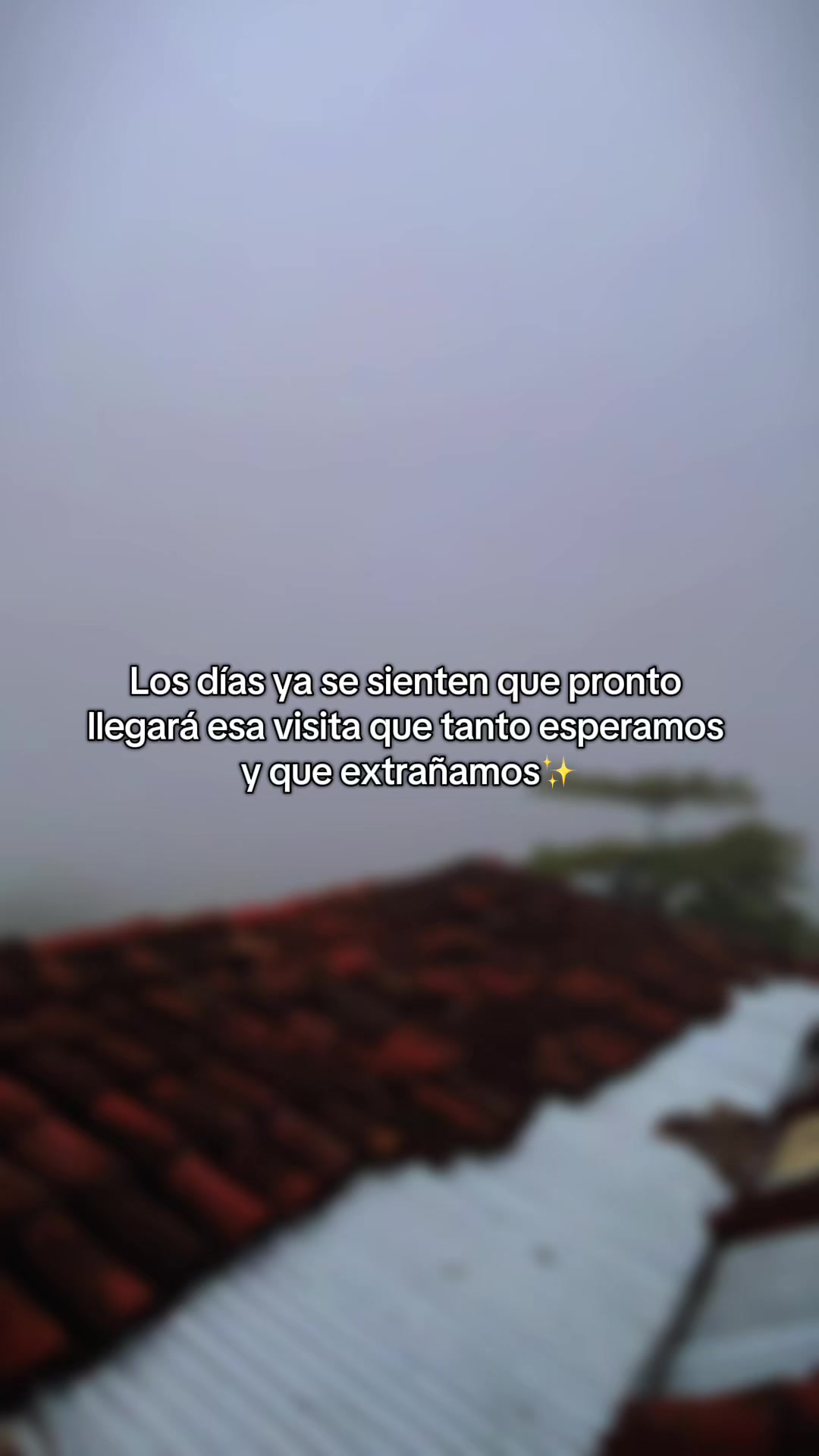 @Judith Vila 💕