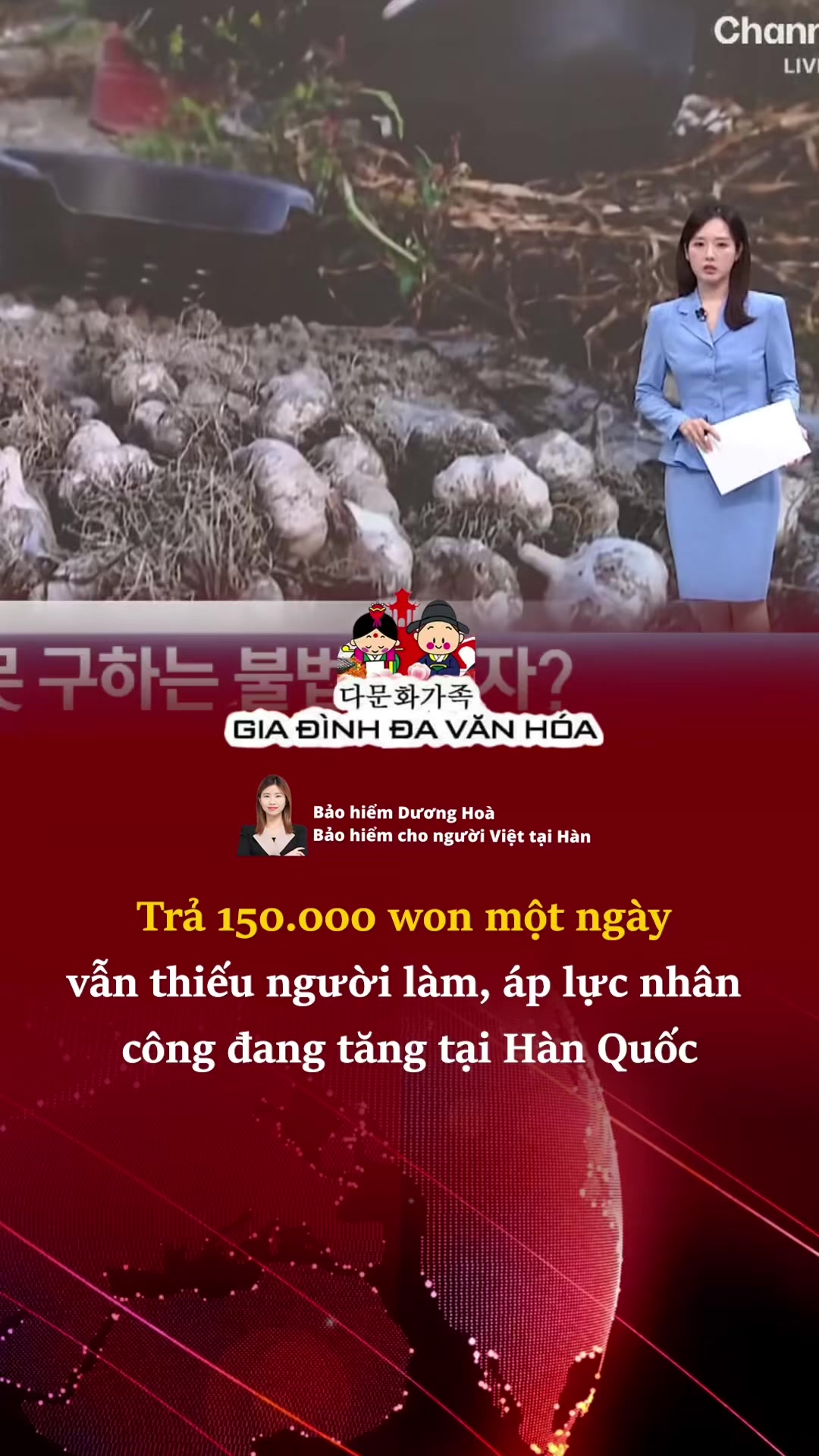 @다문화가족 - GIA ĐÌNH ĐA VĂN HÓA