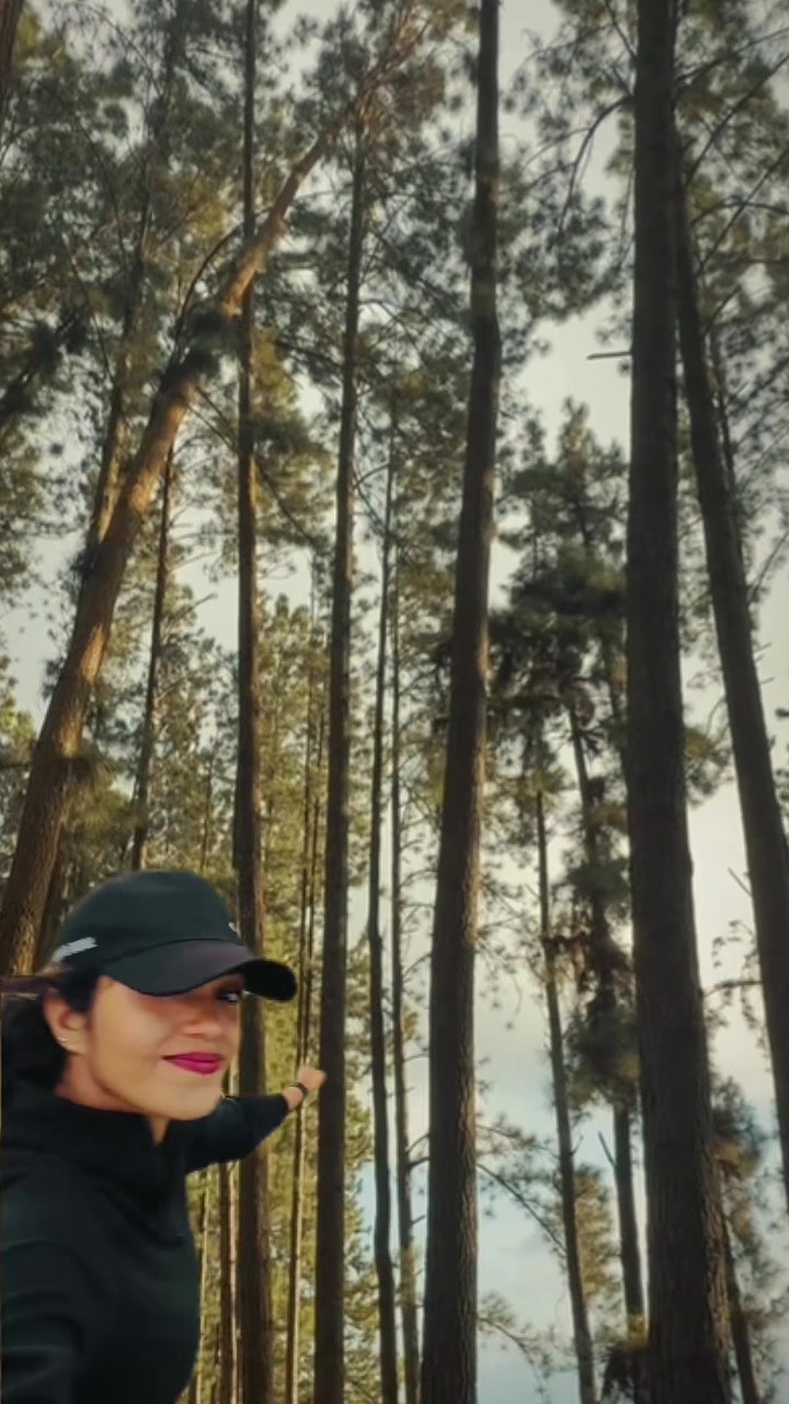 @சலனி 🌸🐝