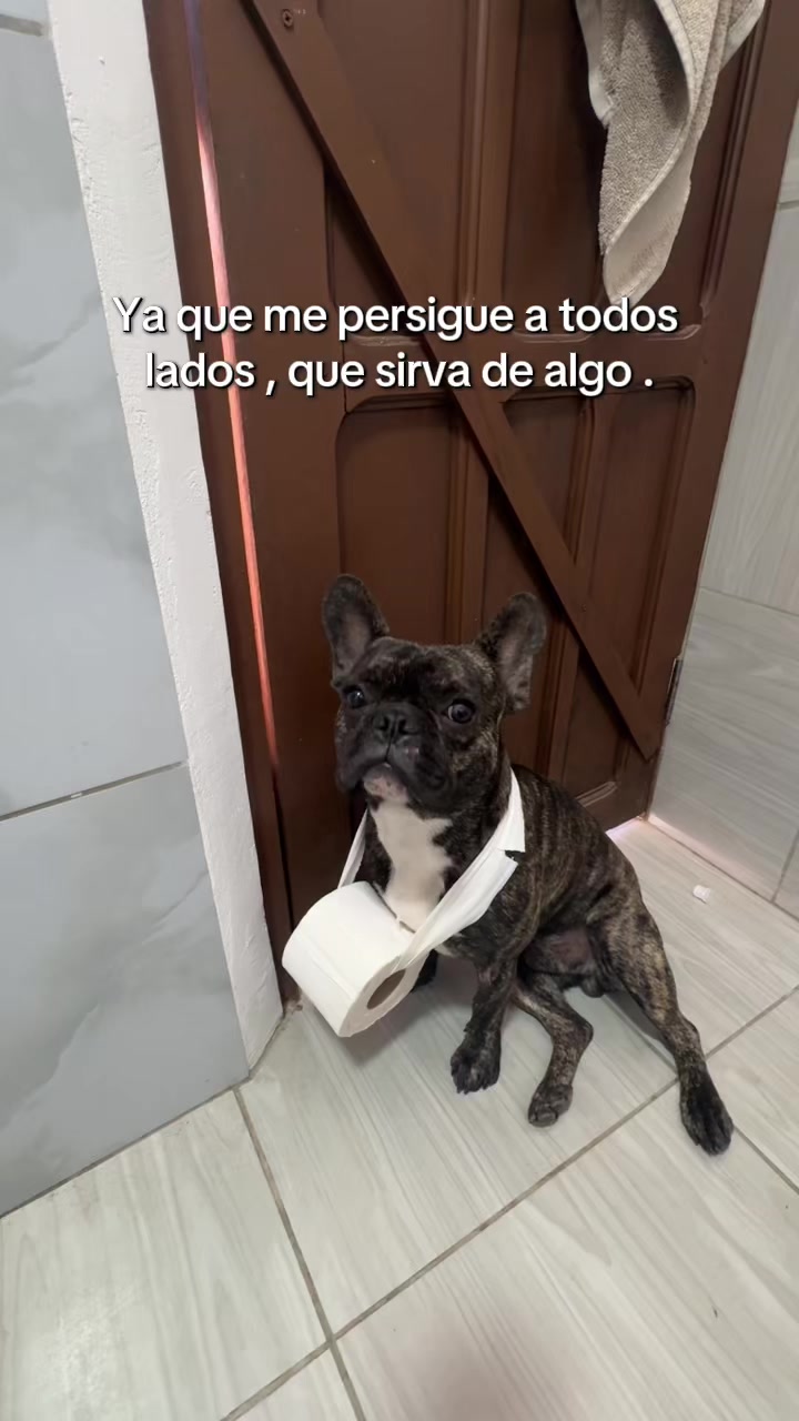 @Daniela Almanza