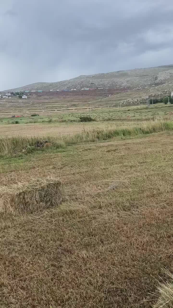 @Göksal Güneş