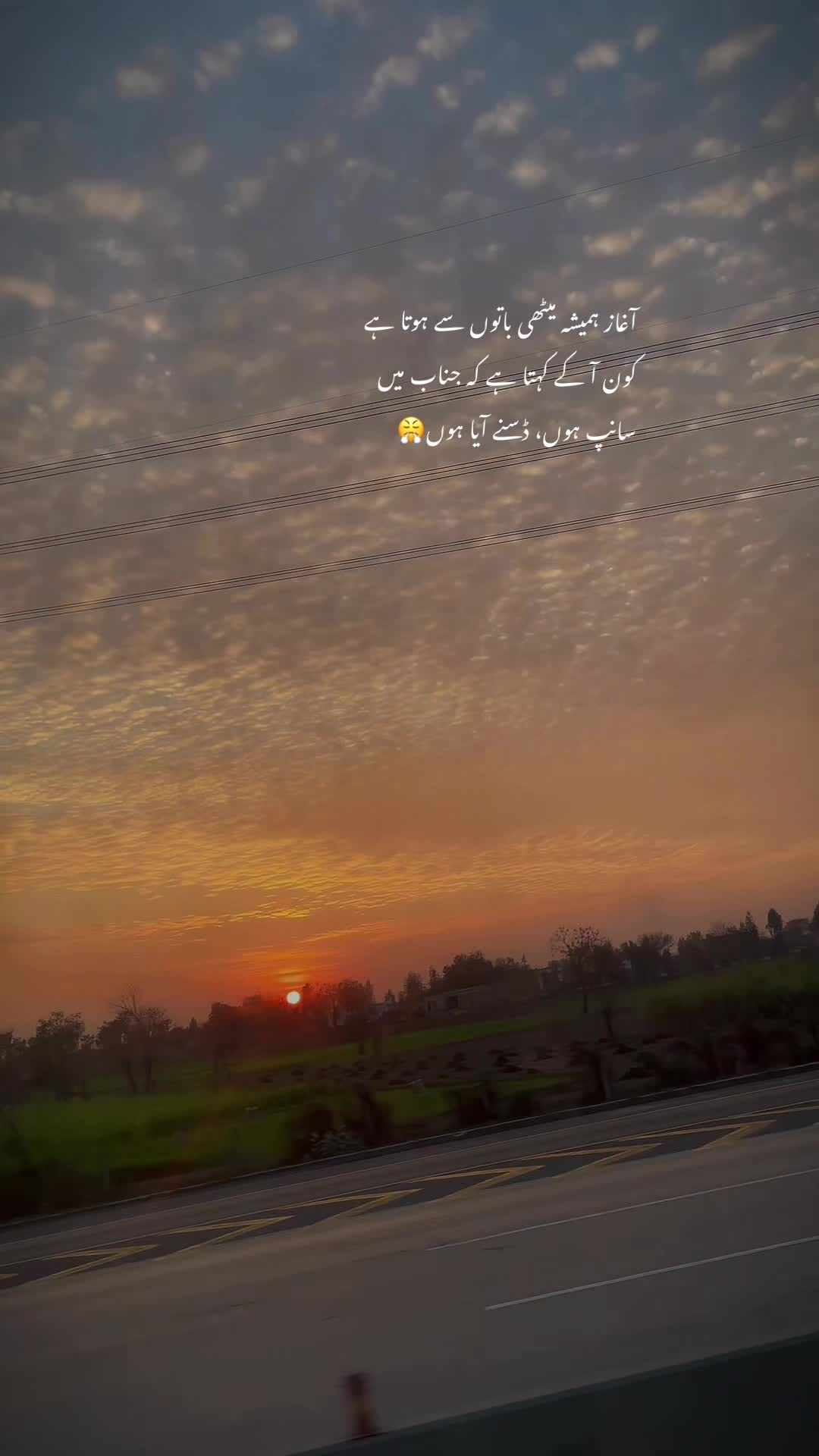 @ALiUsama
