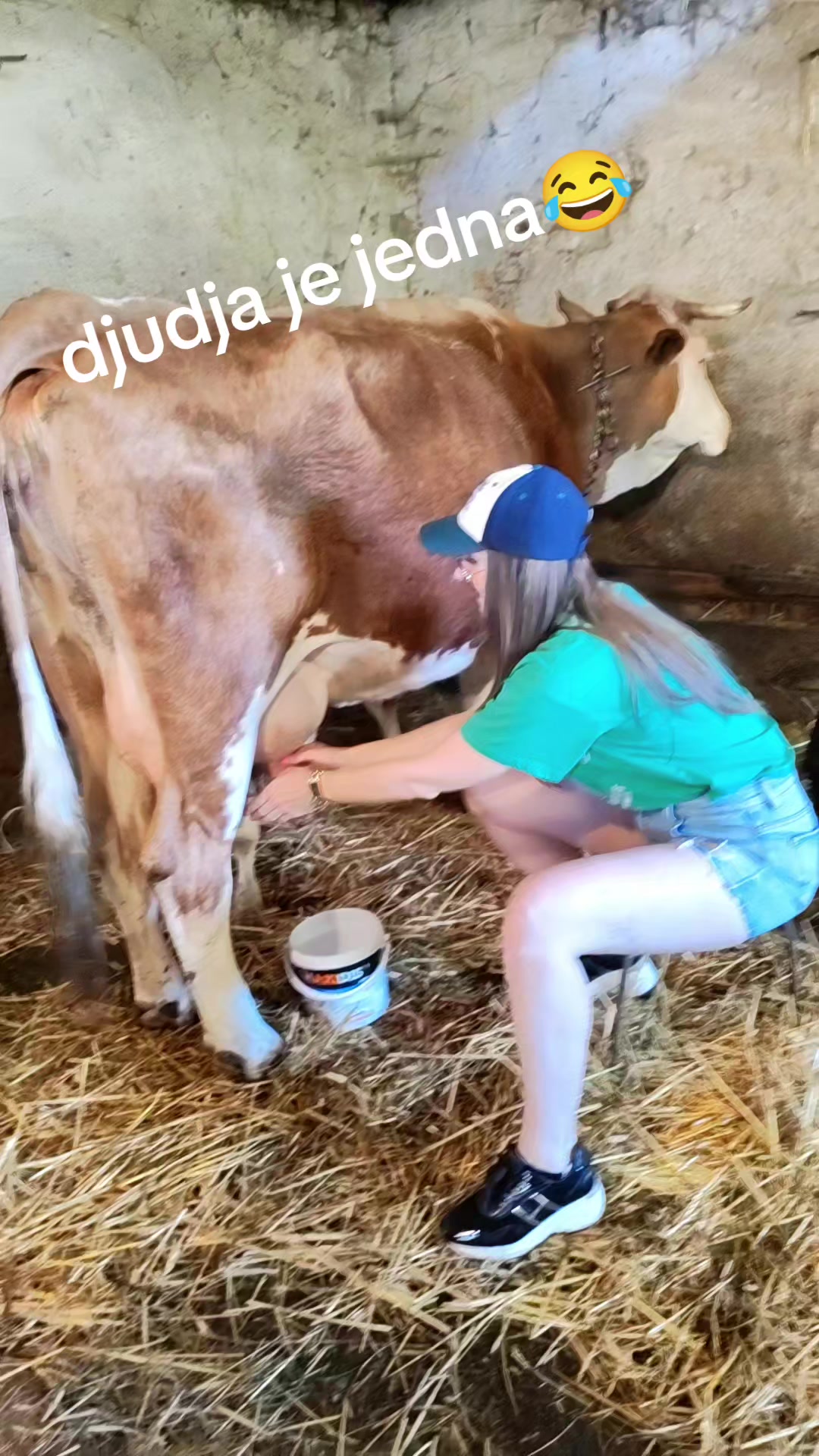 @💥💥💥Djudja💥💥💥
