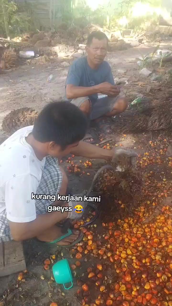 @mamicynta br tompul