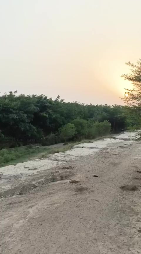 @zaheerfarooqi