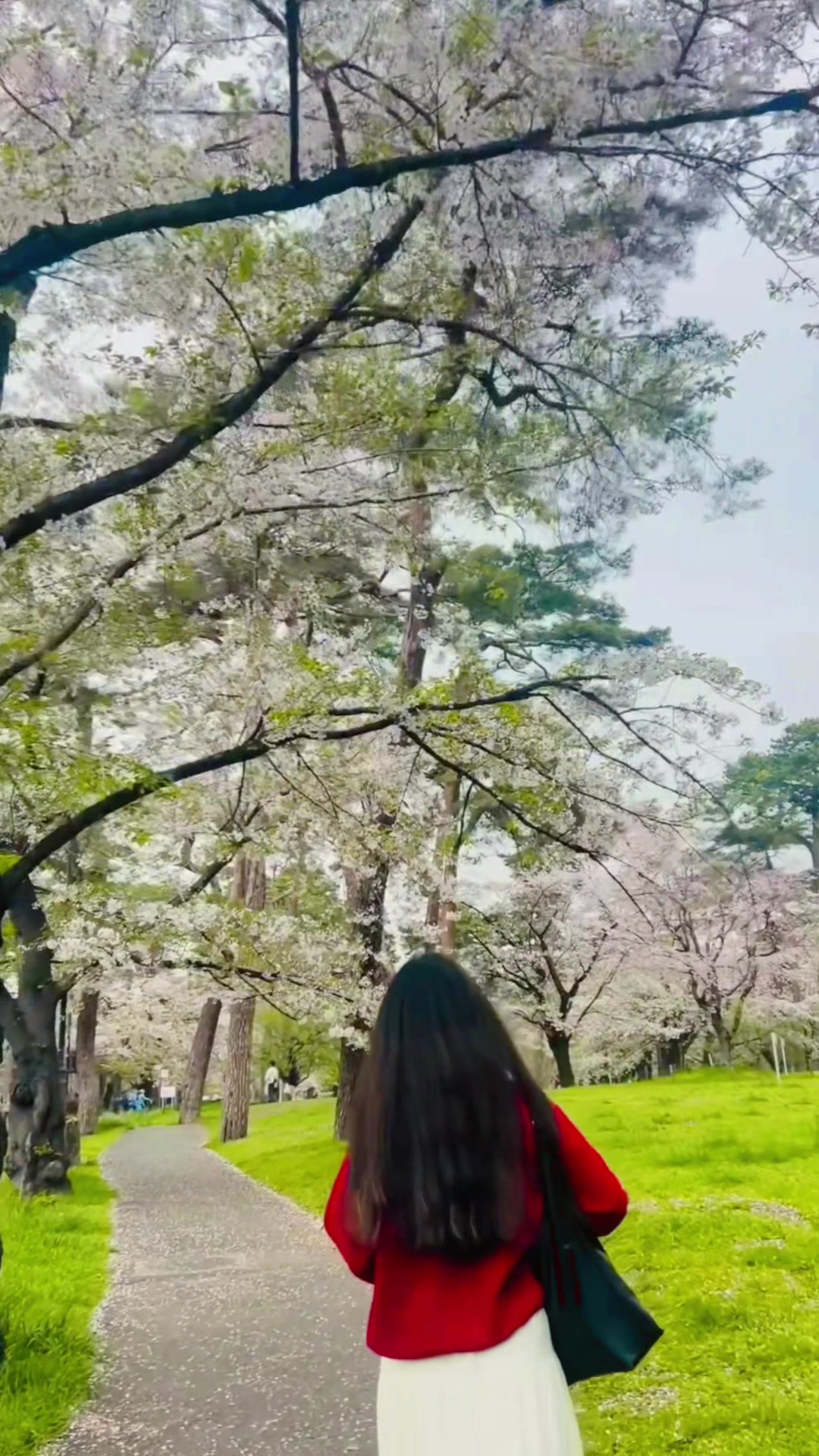 @11:11🫶💫❤️