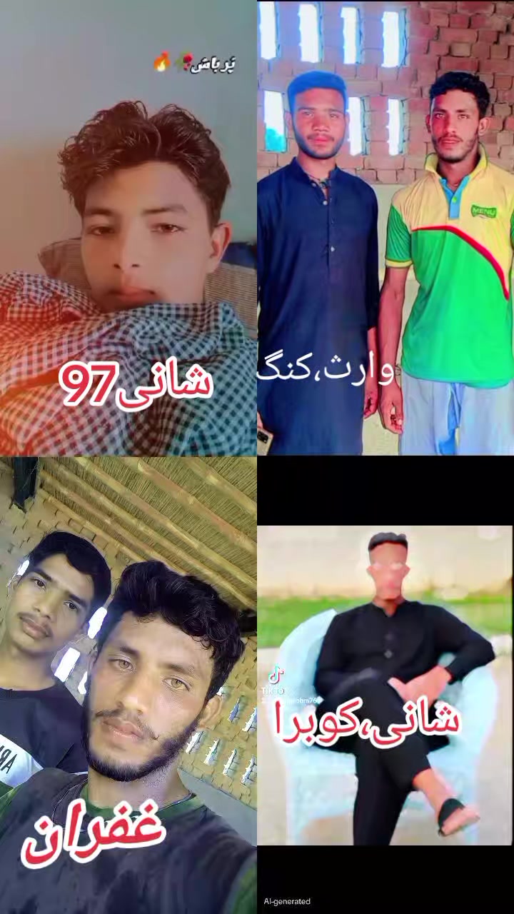 @Shani cobra