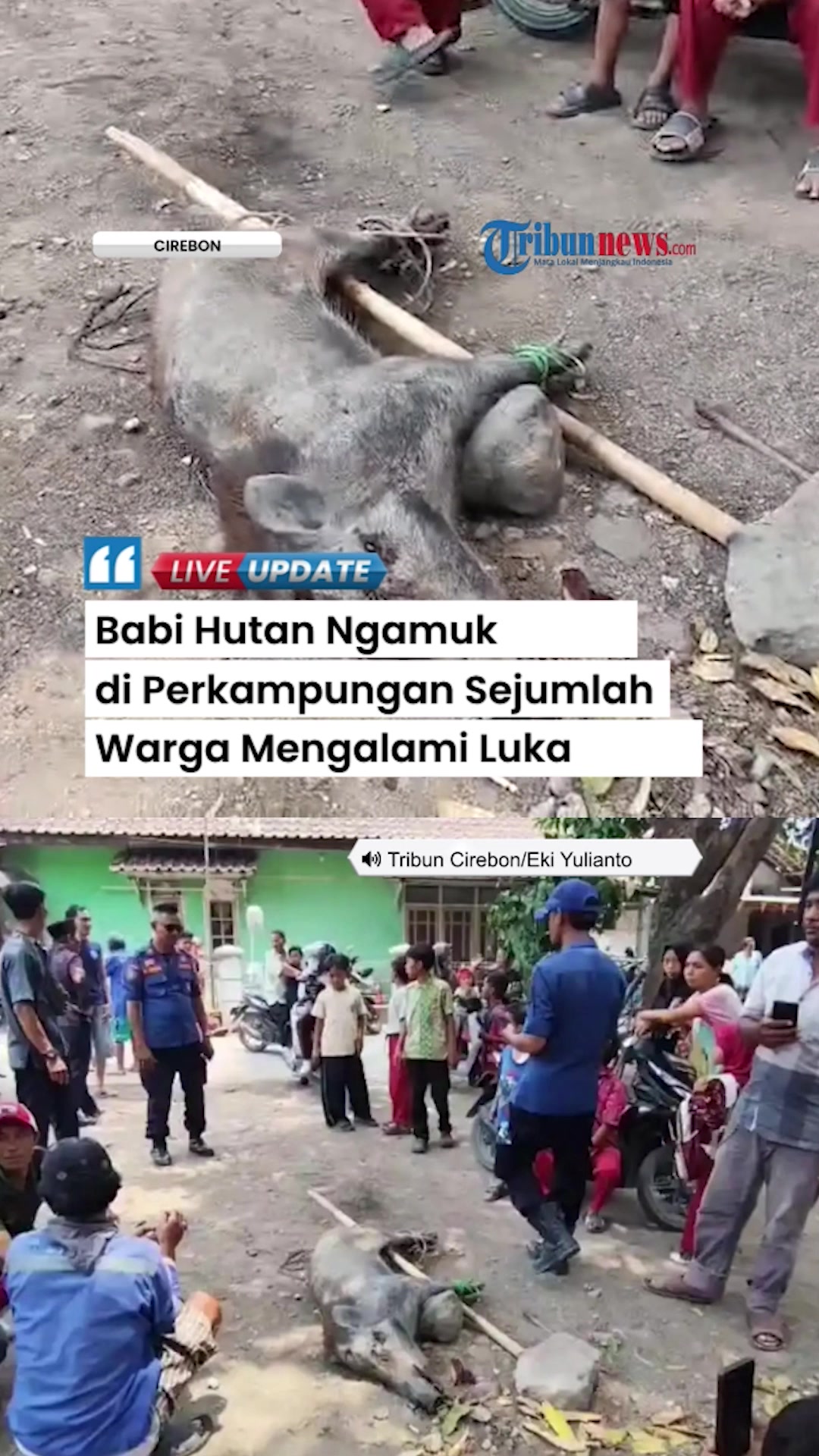 @Tribunnews