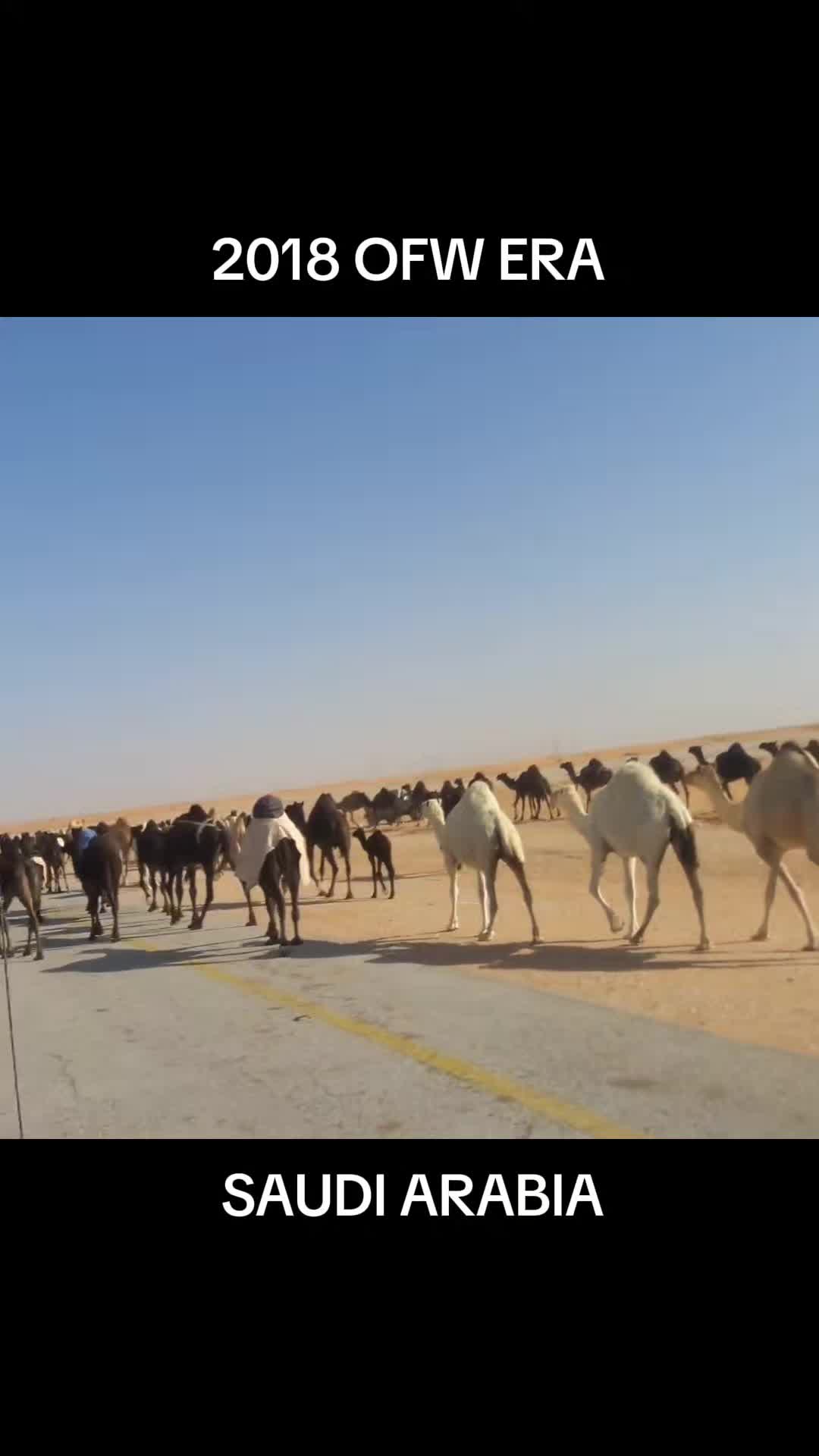 @Burnman ng Palawan