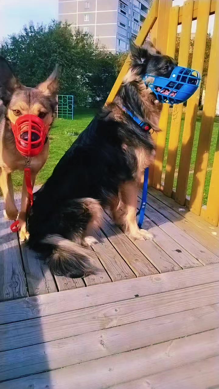 @🌹 Лен❤️Чик 💃🏻
