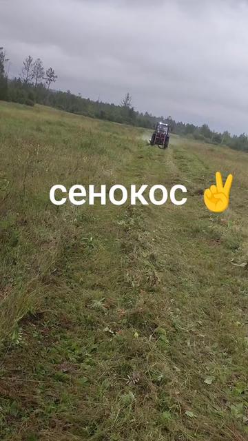 @🇷🇺КоЛяХа 🇷🇺138🇷🇺