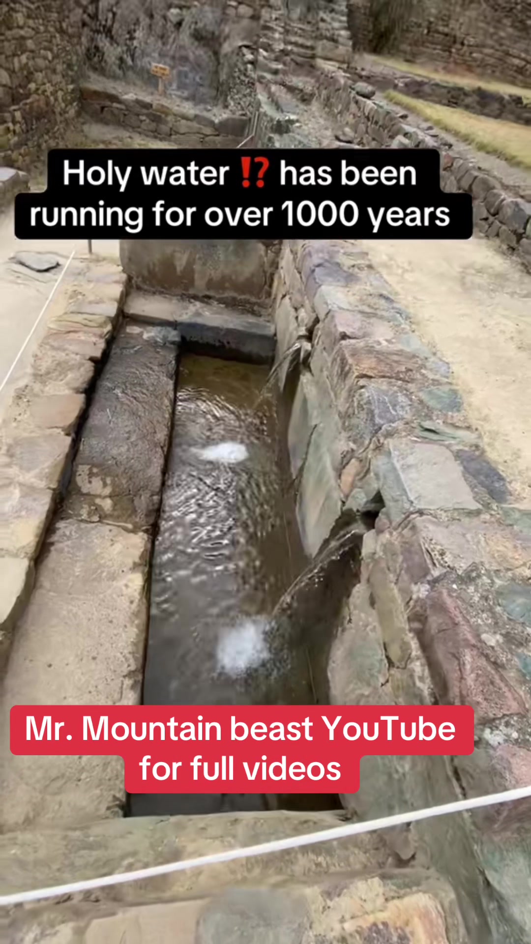 @Mr.mountainbeast